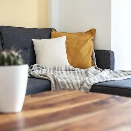 Le Printemps Apartment Cannes